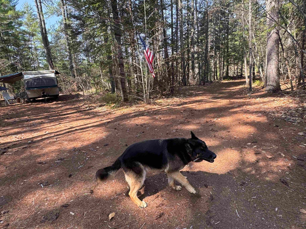 Photo of 00 Province Lake Road, Effingham, NH 03882 (MLS # 5087103)