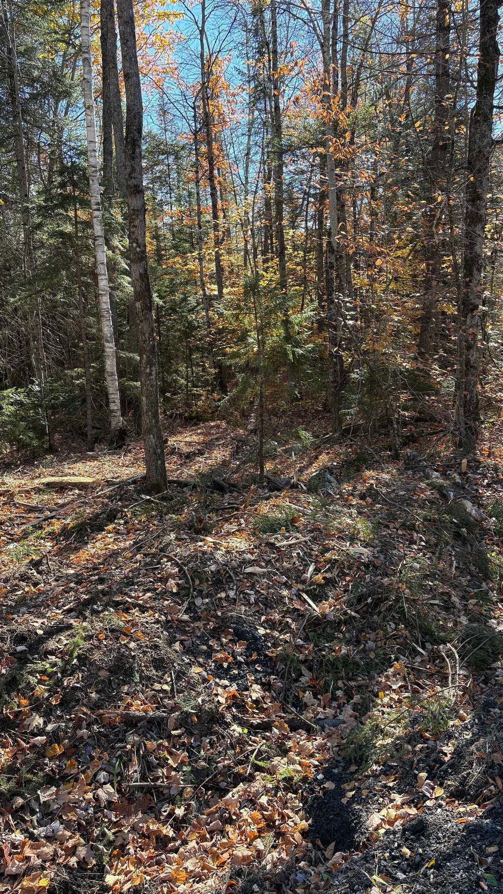 Photo of 153 Moulton Hill Road, Lyman, NH 03585 (MLS # 5114899)