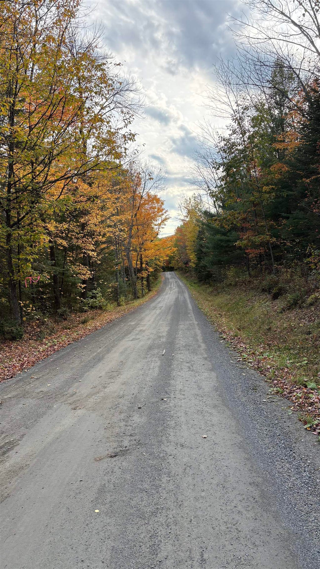 Photo of 153 Moulton Hill Road, Lyman, NH 03585 (MLS # 5114899)