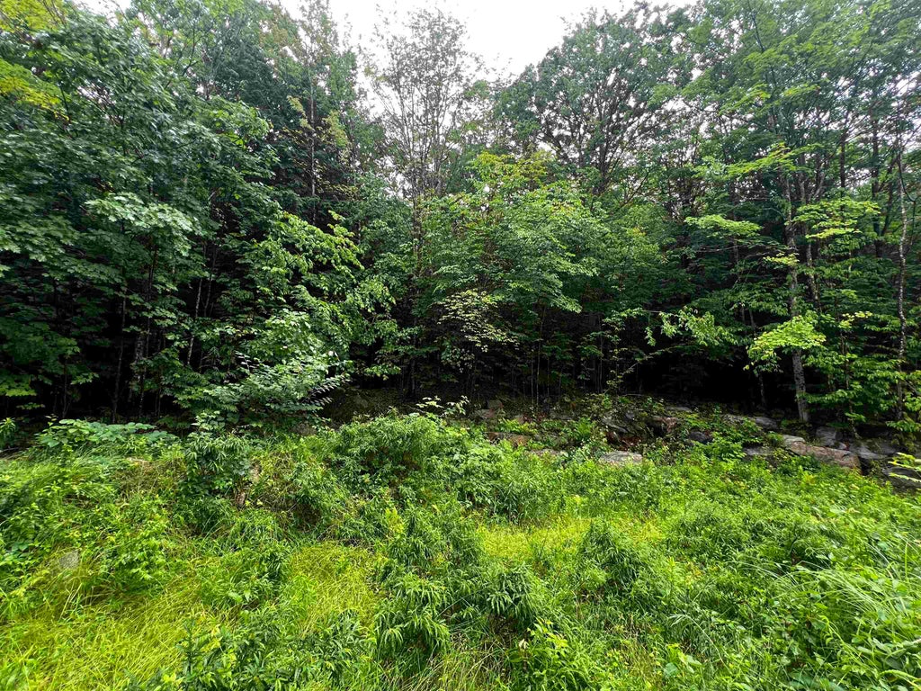 Photo of 0 Jenness Hill Road #24, Meredith, NH 03253 (MLS # 5107163)