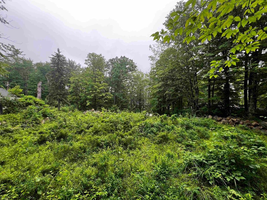 Photo of 0 Jenness Hill Road #24, Meredith, NH 03253 (MLS # 5107163)