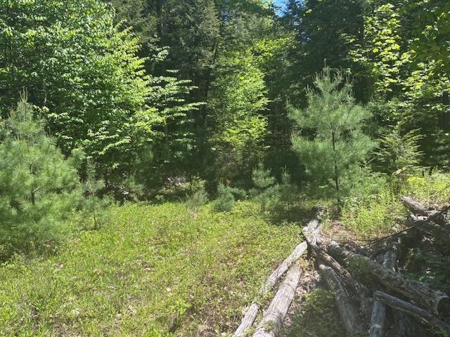 1010 Green Mountain Road
