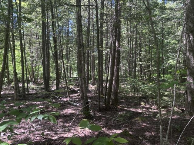 1010 Green Mountain Road