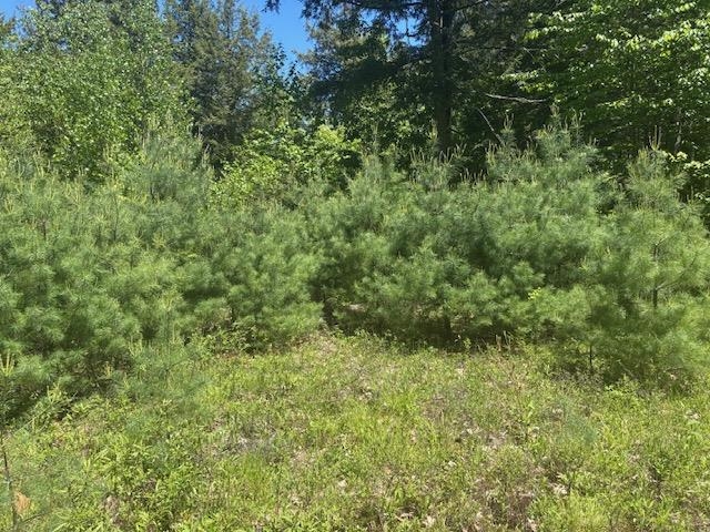 1010 Green Mountain Road