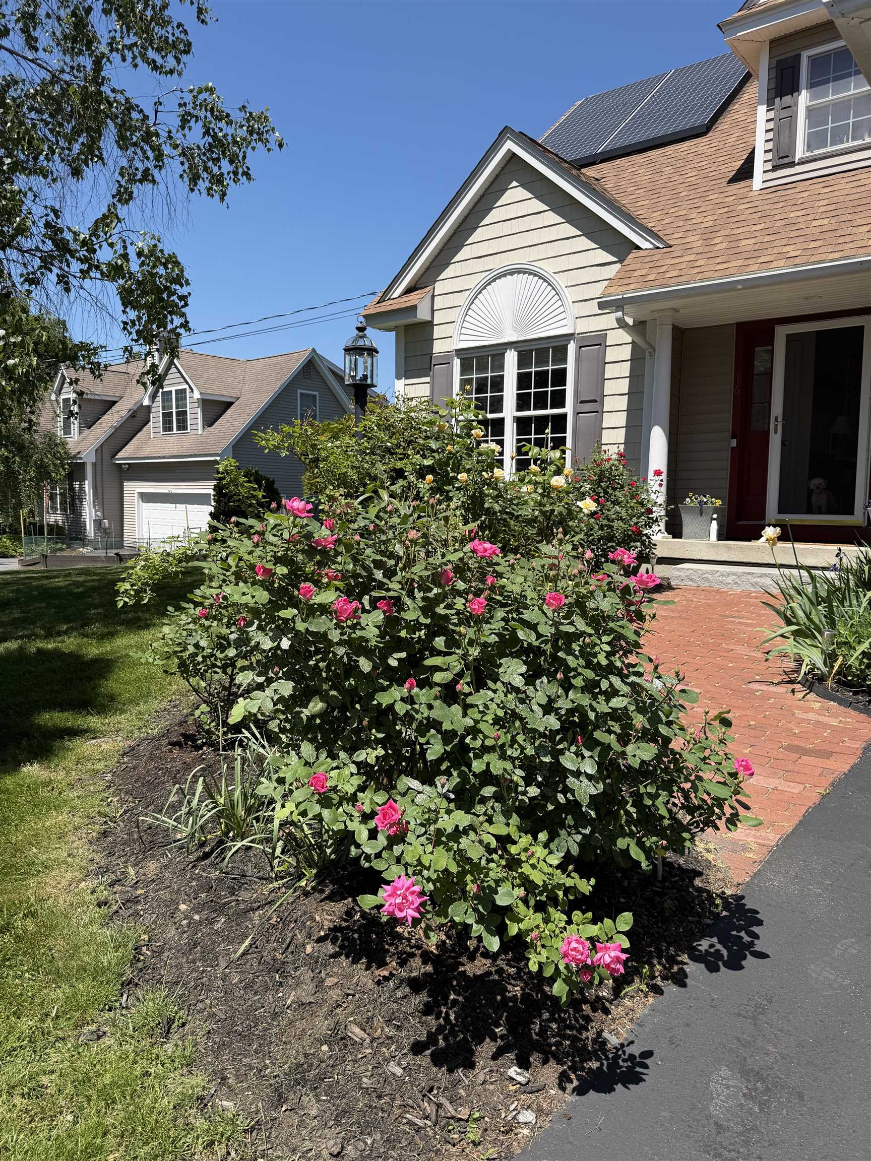 16 Dunlin Way