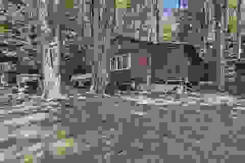 Photo of 74 Stoddard Beach Road, Stoddard, NH 03464 (MLS # 5105358)
