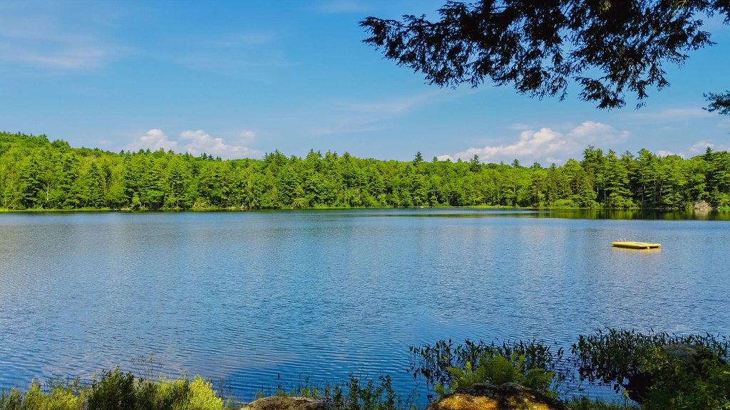 Photo of 77 Wild Acre Drive, Washington, NH 03280 (MLS # 5079873)