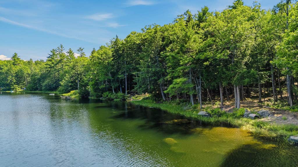 Photo of 77 Wild Acre Drive, Washington, NH 03280 (MLS # 5079873)