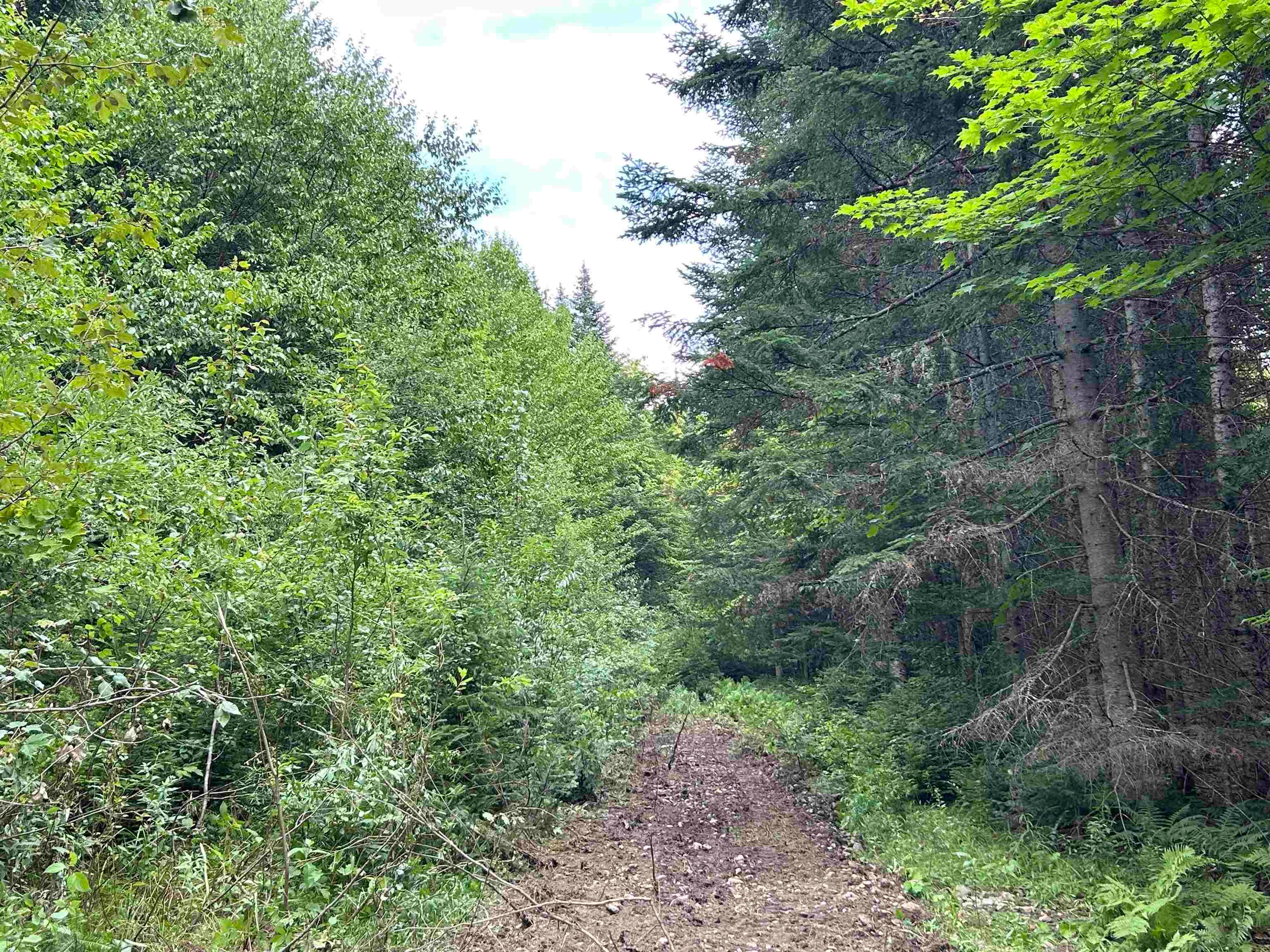 Sugar Hill Road 1