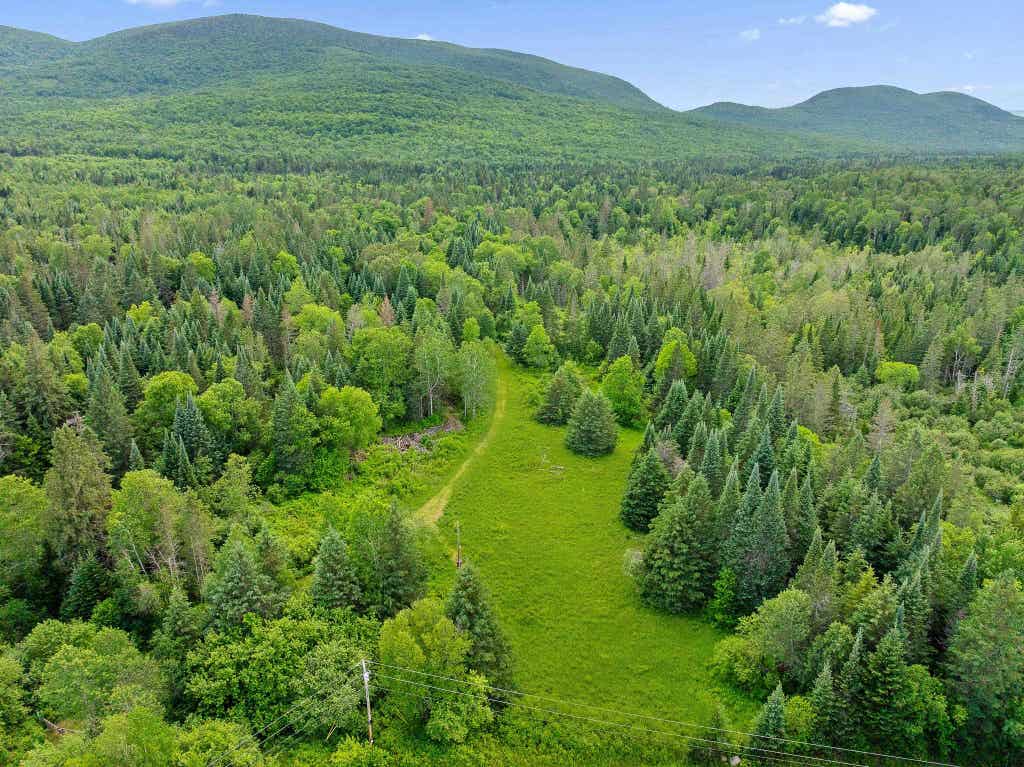 Photo of 354 Gray Road, Columbia, NH 03576 (MLS # 5094654)