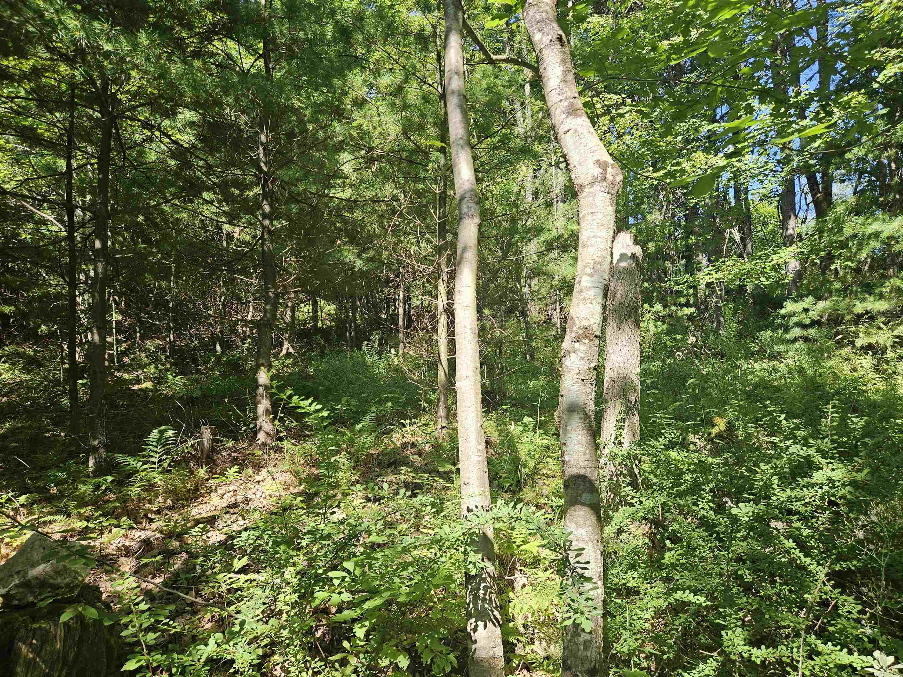 Lot 3.2 Off Parker Road