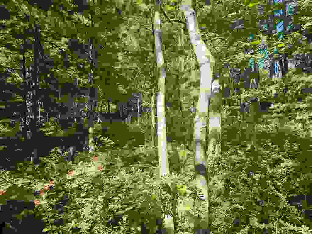 Photo of 32 Off Parker Road, Lisbon, NH 03585 (MLS # 5078579)
