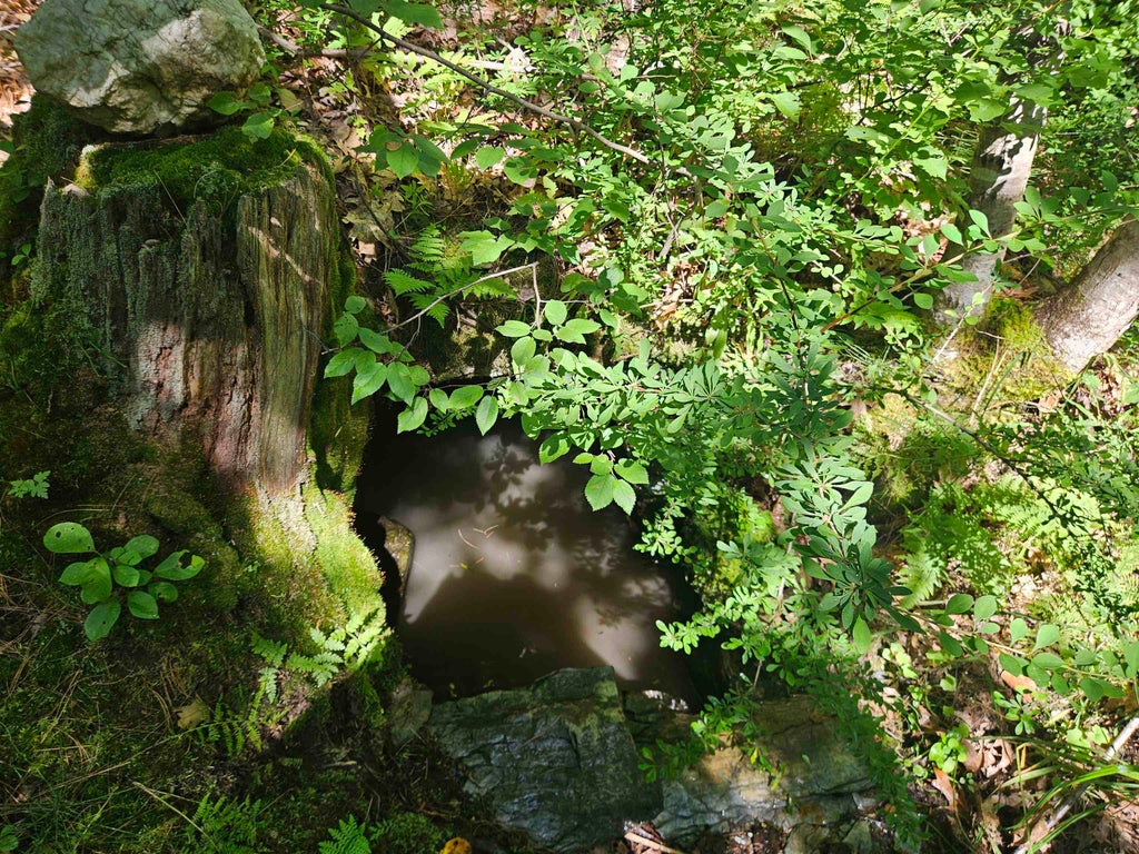 Photo of 32 Off Parker Road, Lisbon, NH 03585 (MLS # 5078579)