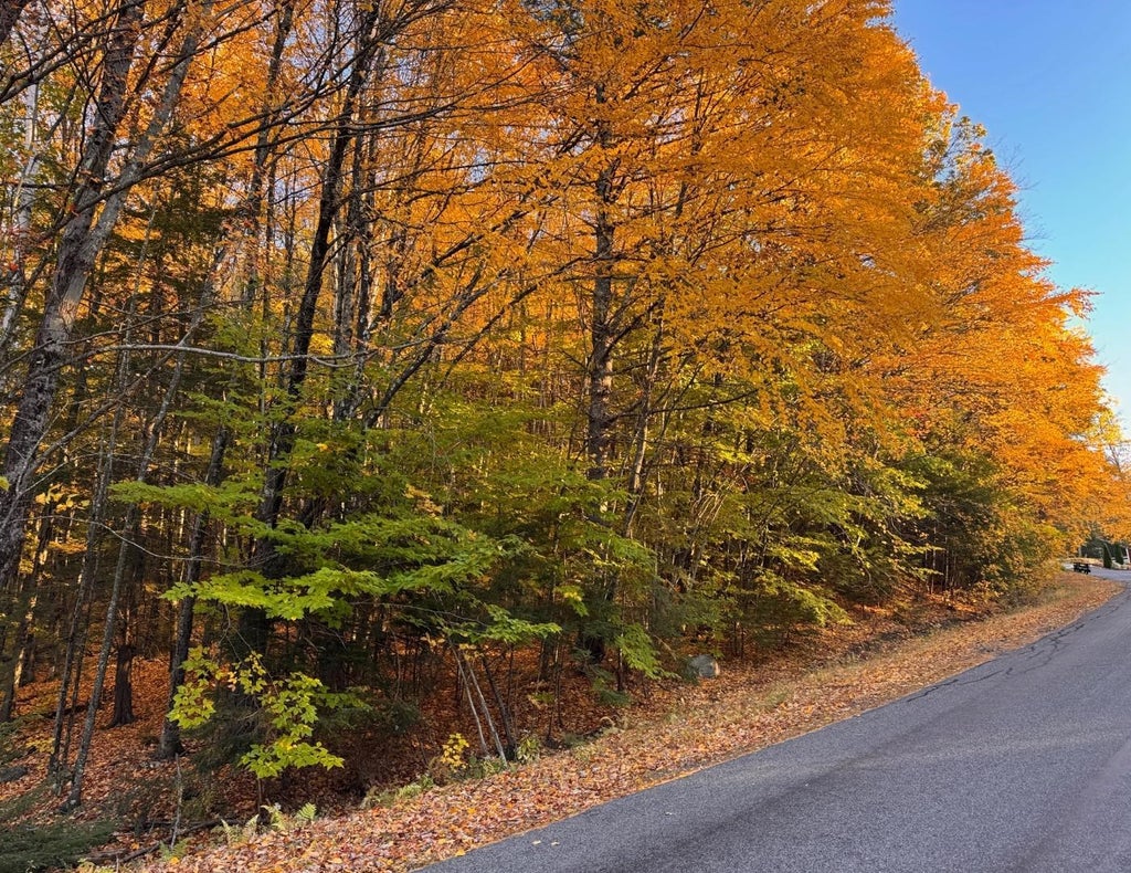 Photo of 4 Cheshire Circle, Gilford, NH 03249 (MLS # 5114778)