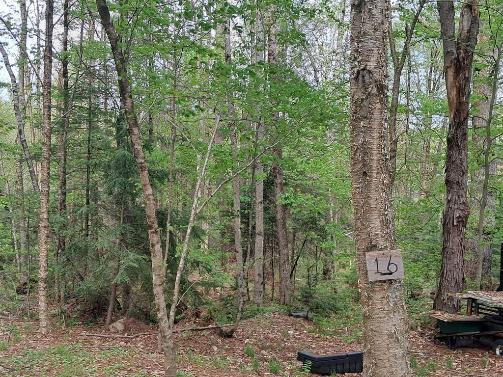 Photo of Danbury, NH 03230 (MLS # 5090612)