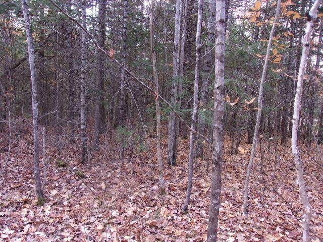 Photo of Fenn Way Circle #21, Bath, NH 03740 (MLS # 5115295)