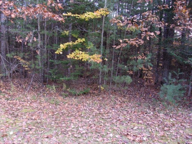 Photo of Fenn Way Circle #21, Bath, NH 03740 (MLS # 5115295)