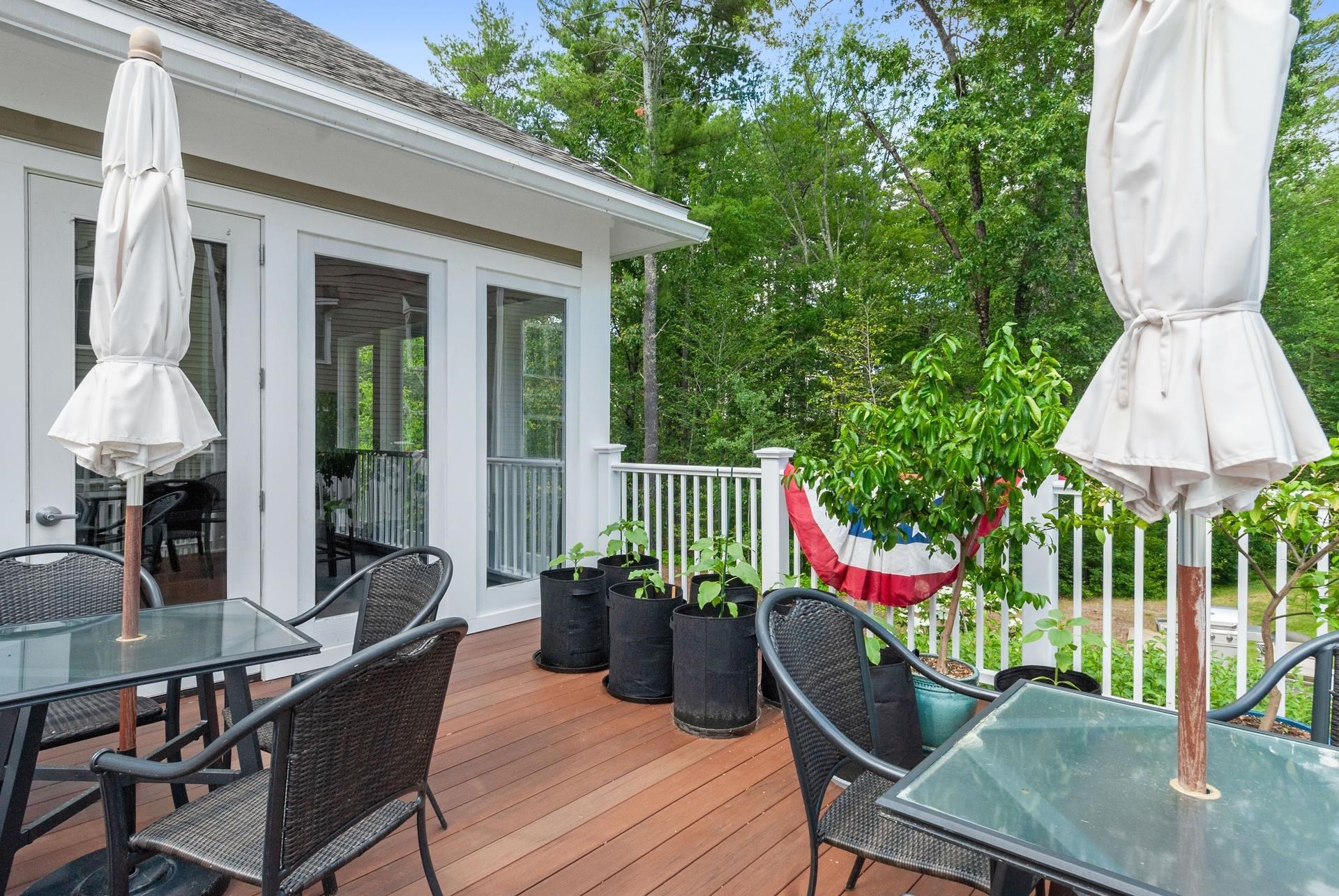 24 Willey Creek Road 203