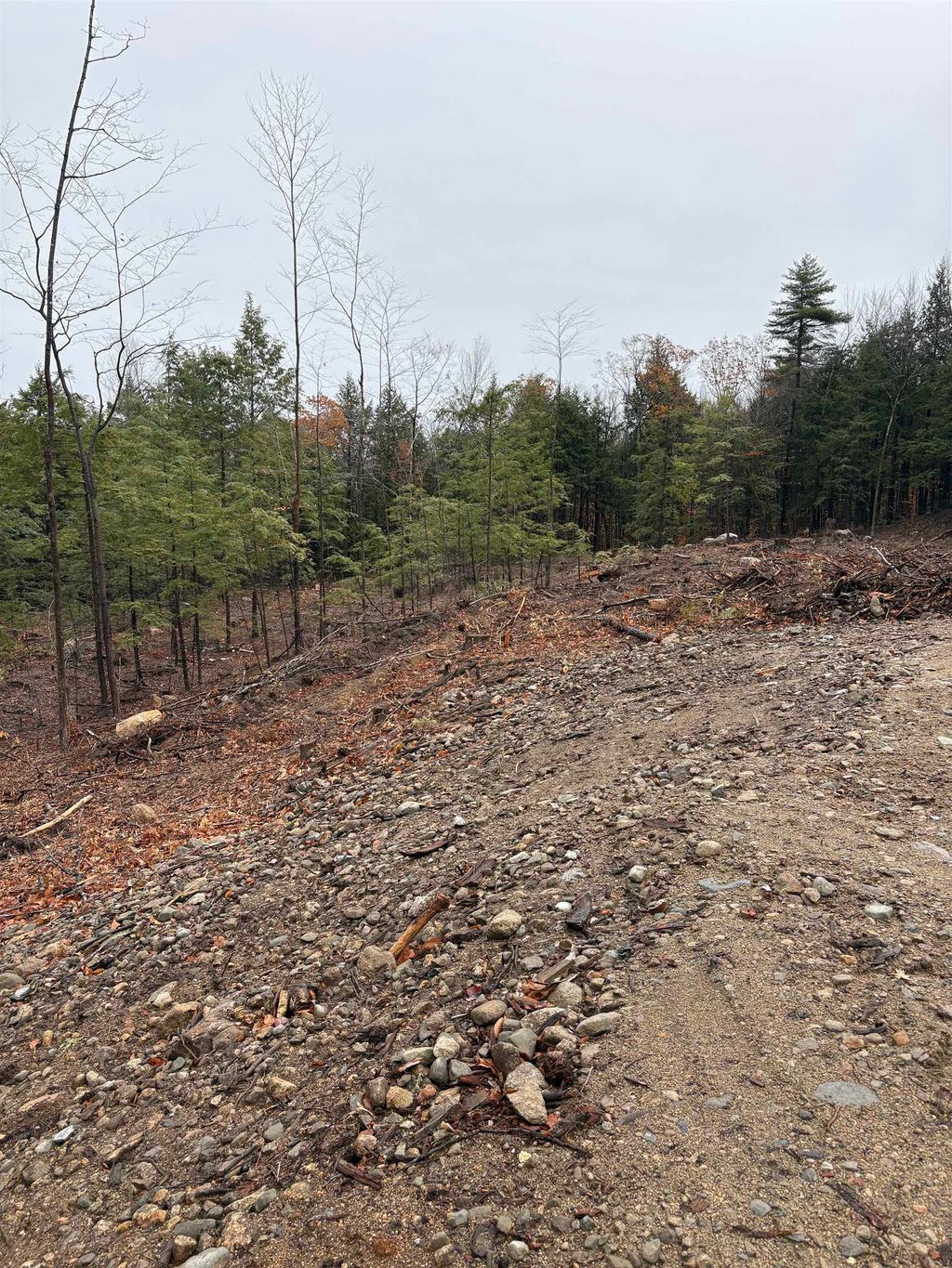 Photo of 9 Sugarloaf Drive #9, Ossipee, NH 03814 (MLS # 5096994)