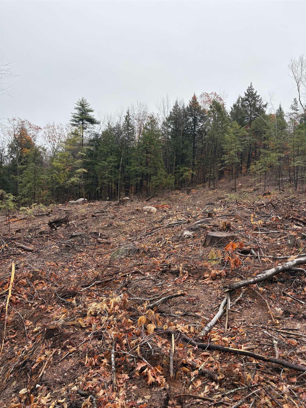 Photo of 9 Sugarloaf Drive #9, Ossipee, NH 03814 (MLS # 5096994)