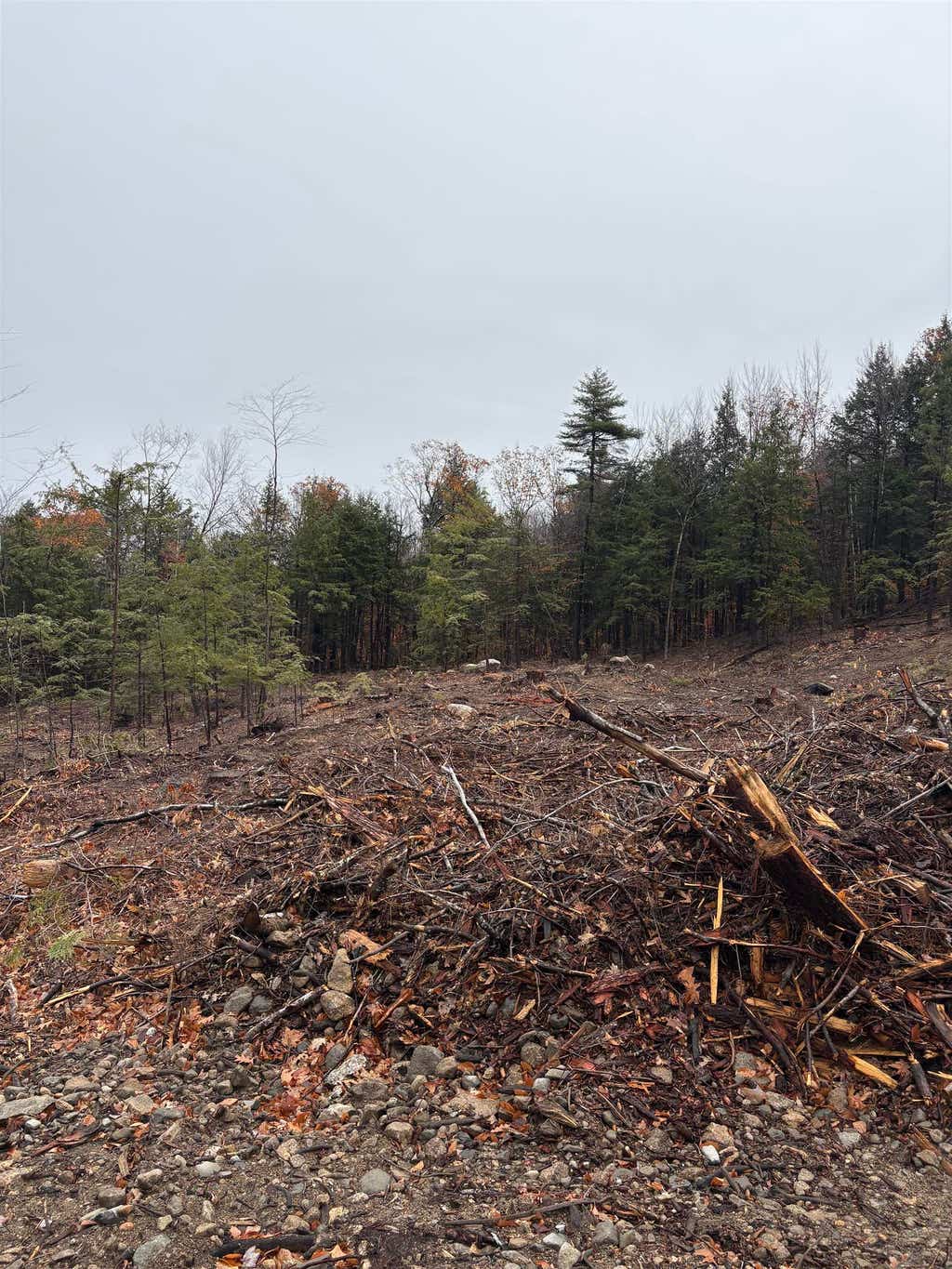 Photo of 9 Sugarloaf Drive #9, Ossipee, NH 03814 (MLS # 5096994)