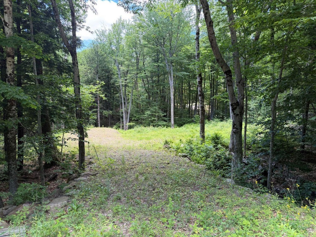 Photo of 151 Red Coat Lane, Stoddard, NH 03464 (MLS # 5095395)