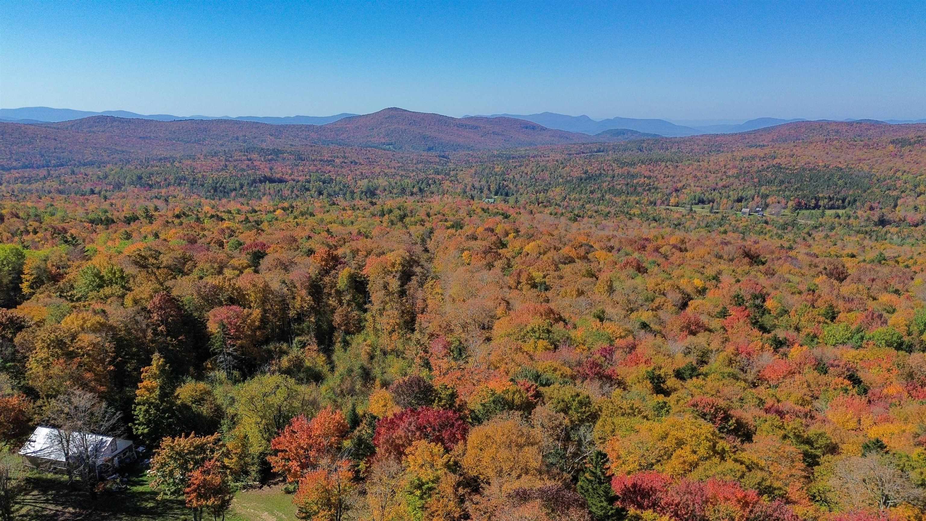 1052 CCC Road - Photo 4