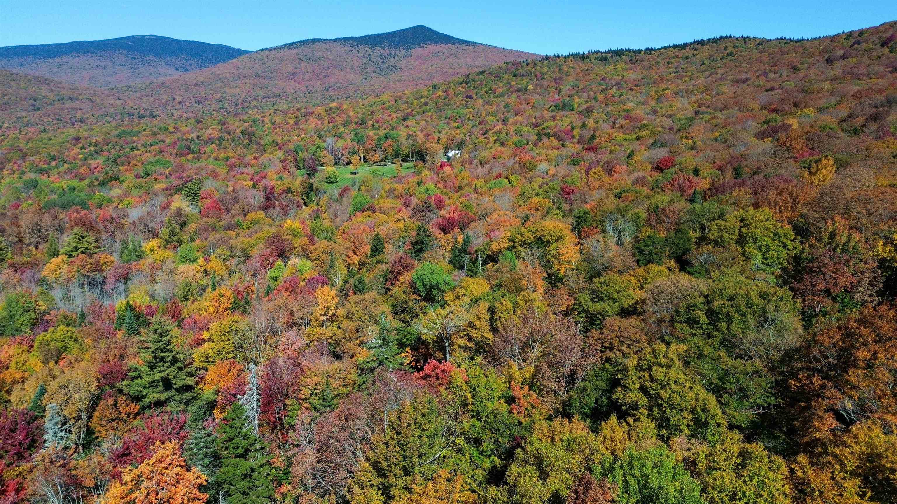 1052 CCC Road - Photo 3