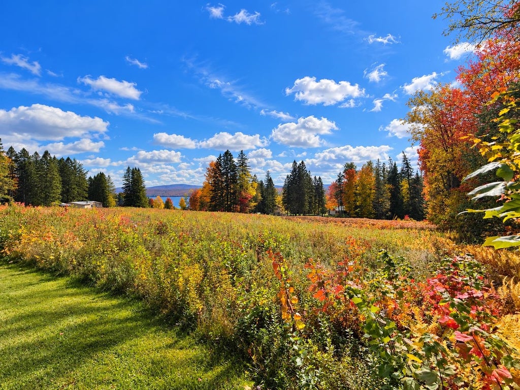 Photo of Route 3, Pittsburg, NH 03592 (MLS # 5073061)