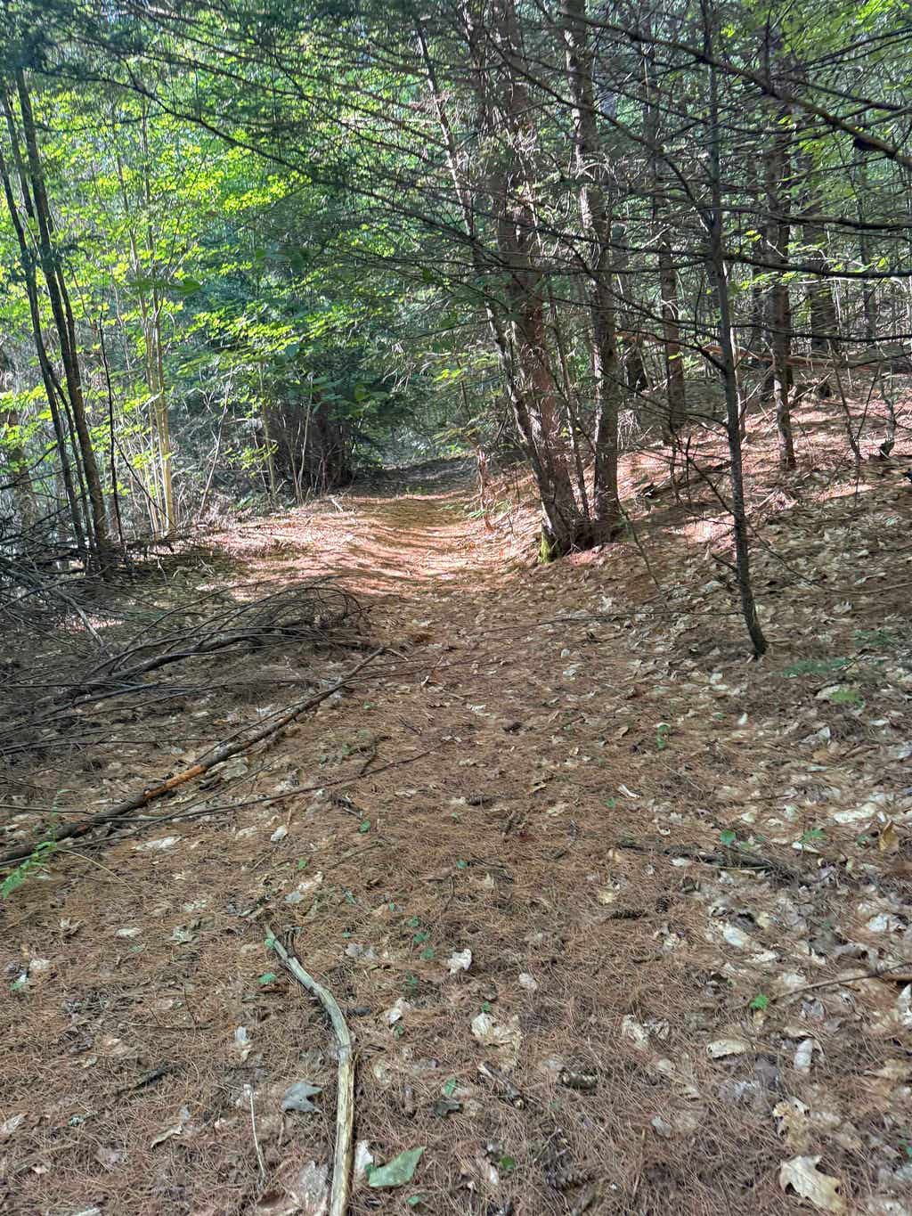Photo of 60 Pound Road, Sanbornton, NH 03269 (MLS # 5101328)