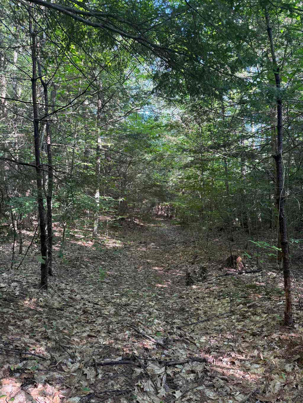 Photo of 60 Pound Road, Sanbornton, NH 03269 (MLS # 5101328)