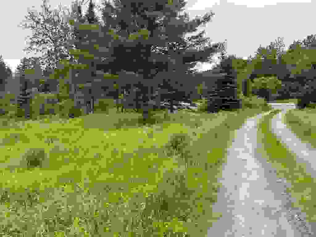 Photo of 153 Garland Road, Lancaster, NH 03584 (MLS # 5104110)