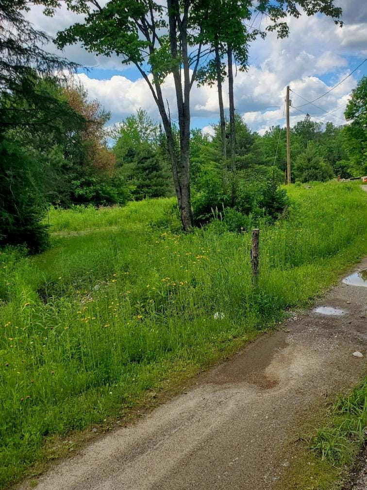 Photo of 153 Garland Road, Lancaster, NH 03584 (MLS # 5104110)