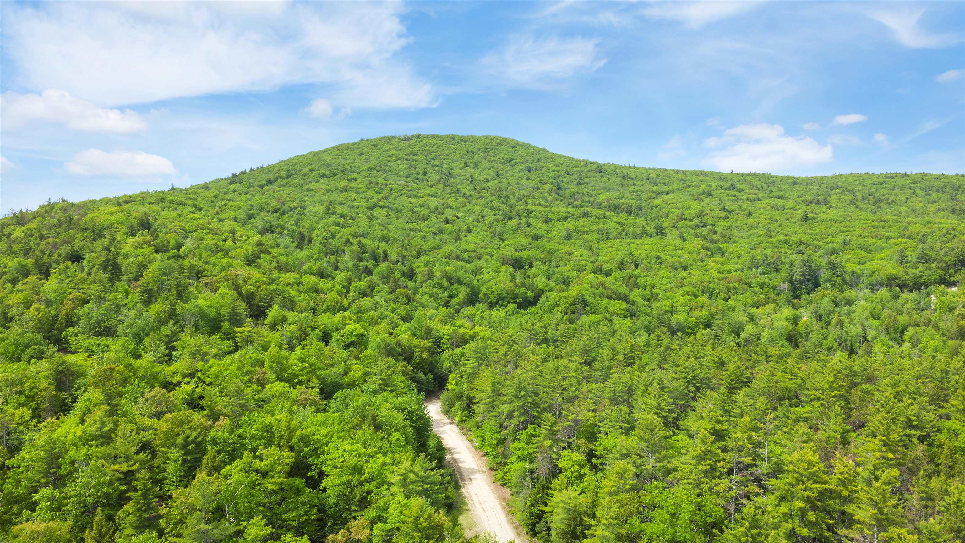 00 Pine Point Road