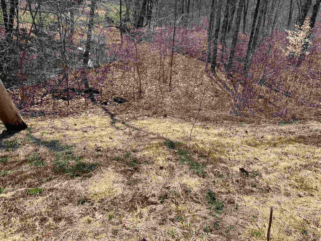 Photo of 20 Lake Shore Drive, Winchester, NH 03470 (MLS # 5091522)