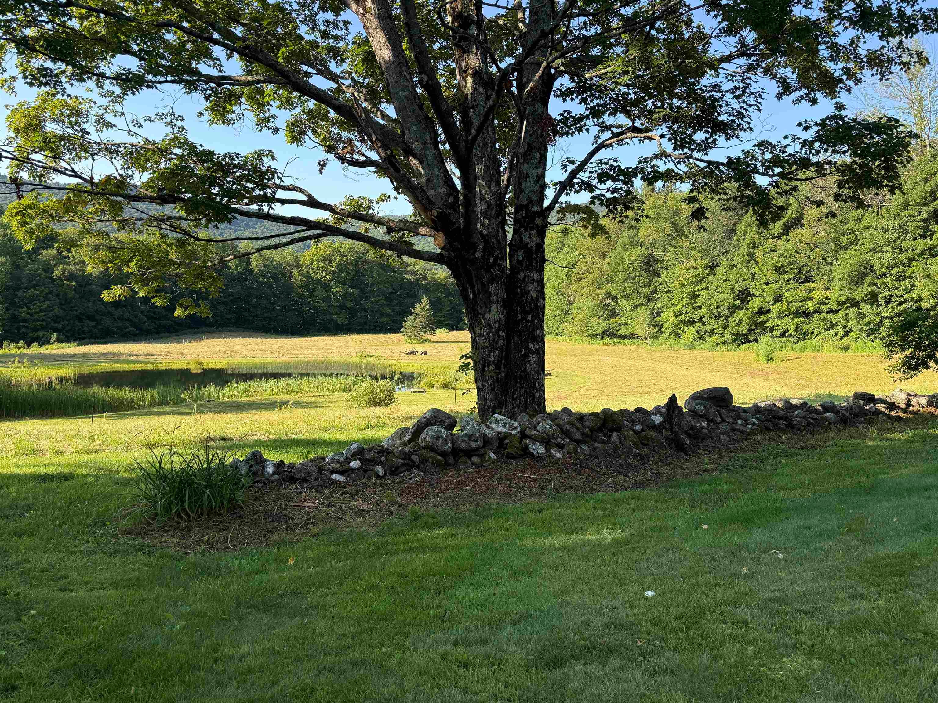 31 South Hollow Road