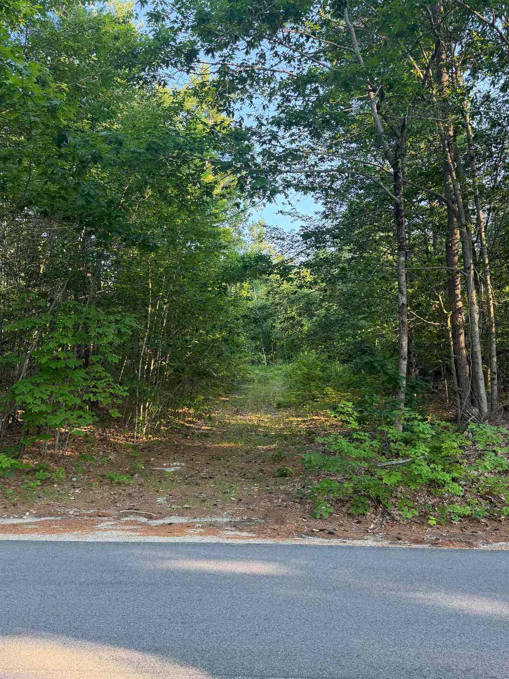 Photo of 0 Canal Road #Map 157 Lot 16, Wakefield, NH 03872 (MLS # 5105431)