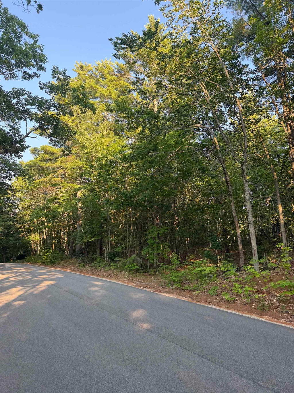 Photo of 0 Canal Road #Map 157 Lot 16, Wakefield, NH 03872 (MLS # 5105431)