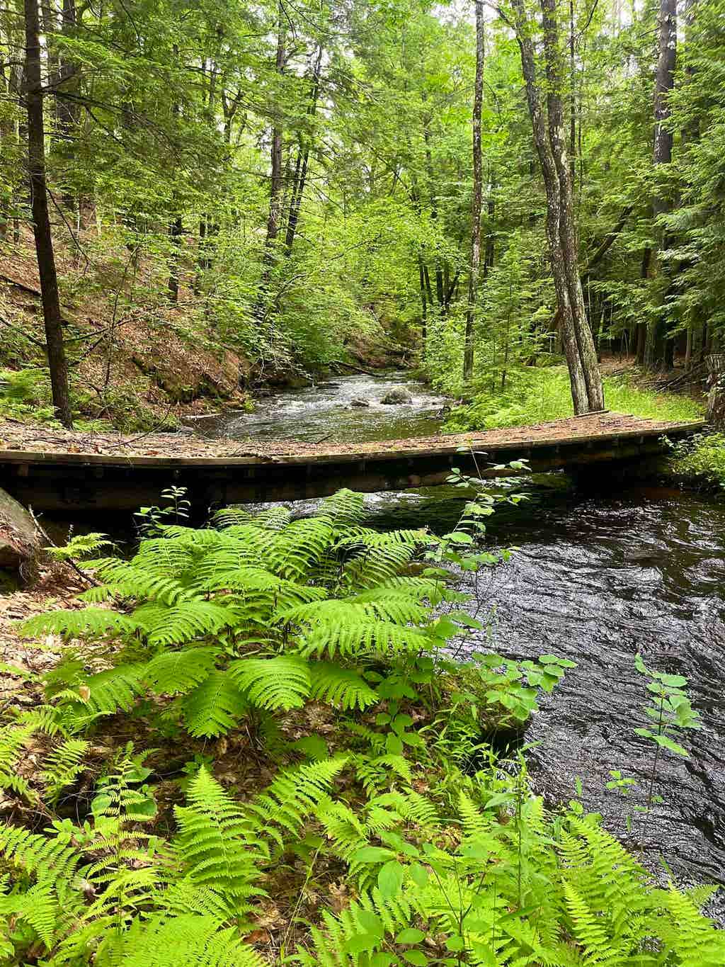 Photo of 24403 North Road #00, Franklin, NH 03235 (MLS # 5099144)