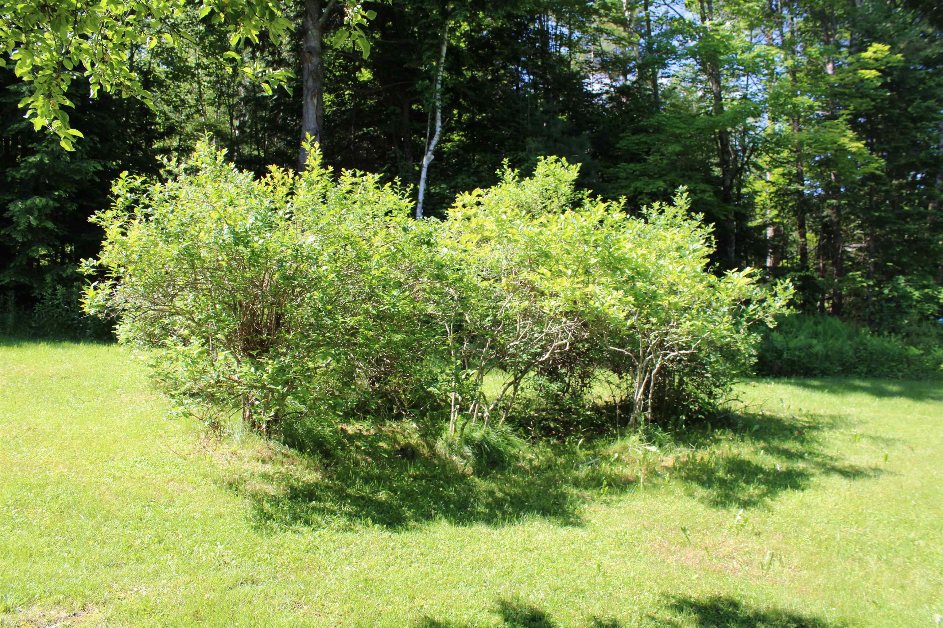 1579 Monroe Road - Photo 2