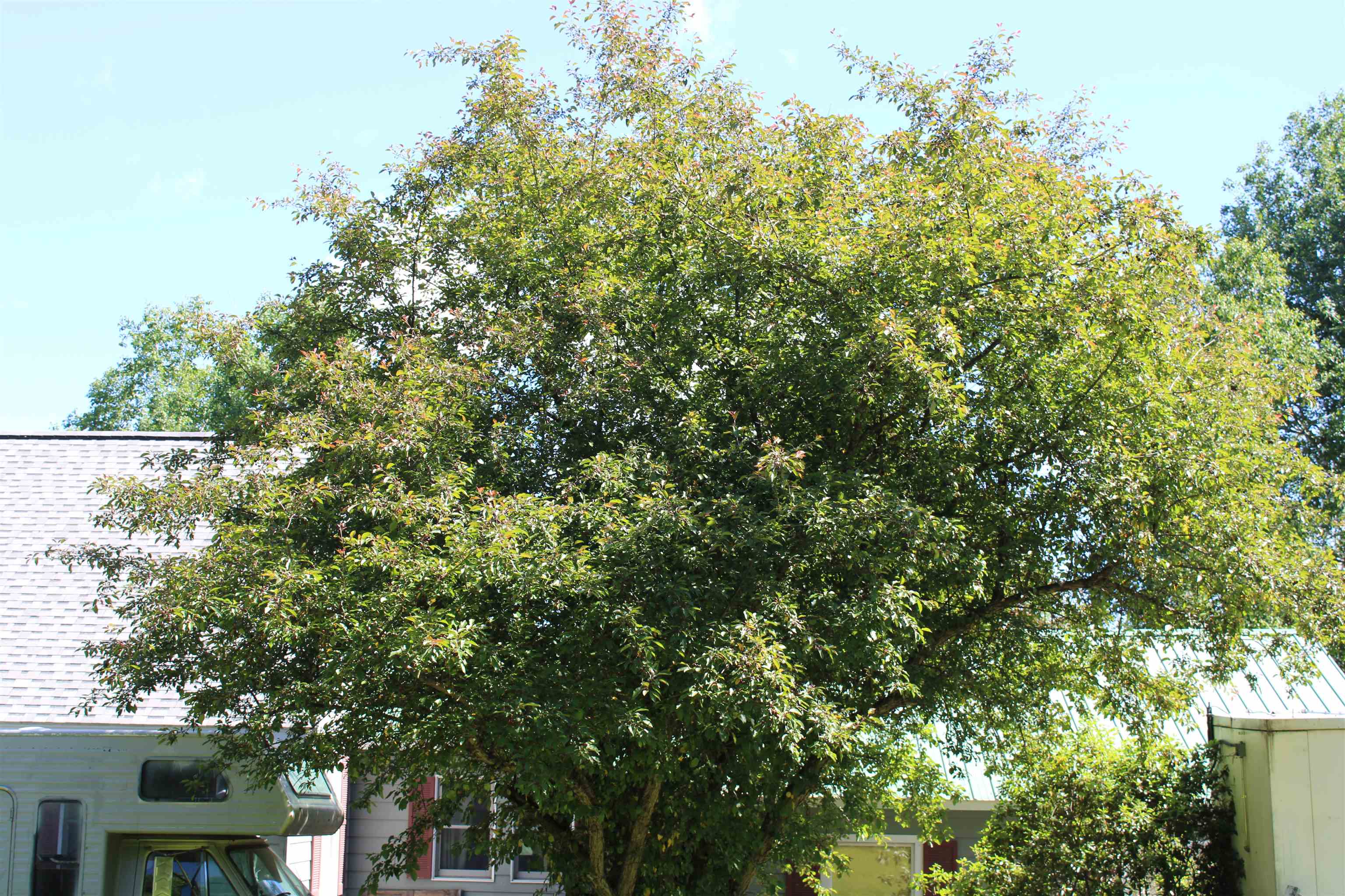 1579 Monroe Road - Photo 4