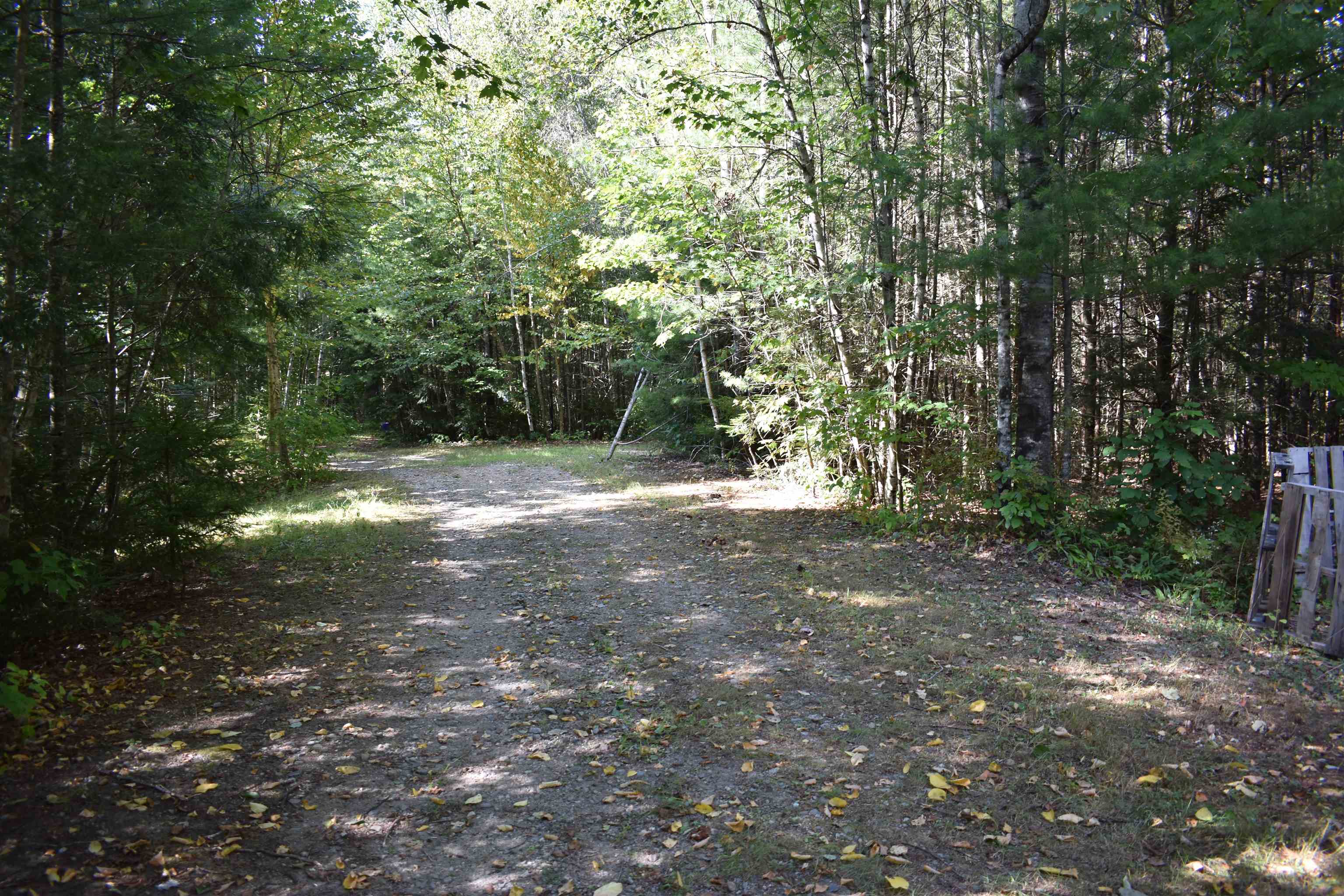 Bald Mountain Road