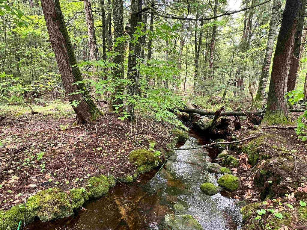 Photo of 123 Cross Road, Deering, NH 03244 (MLS # 5091478)