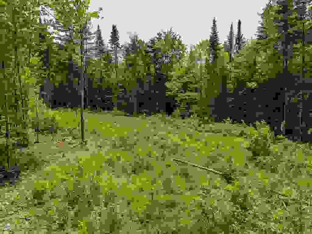 Photo of 40 Bear Paw Trail, Littleton, NH 03561 (MLS # 5072369)