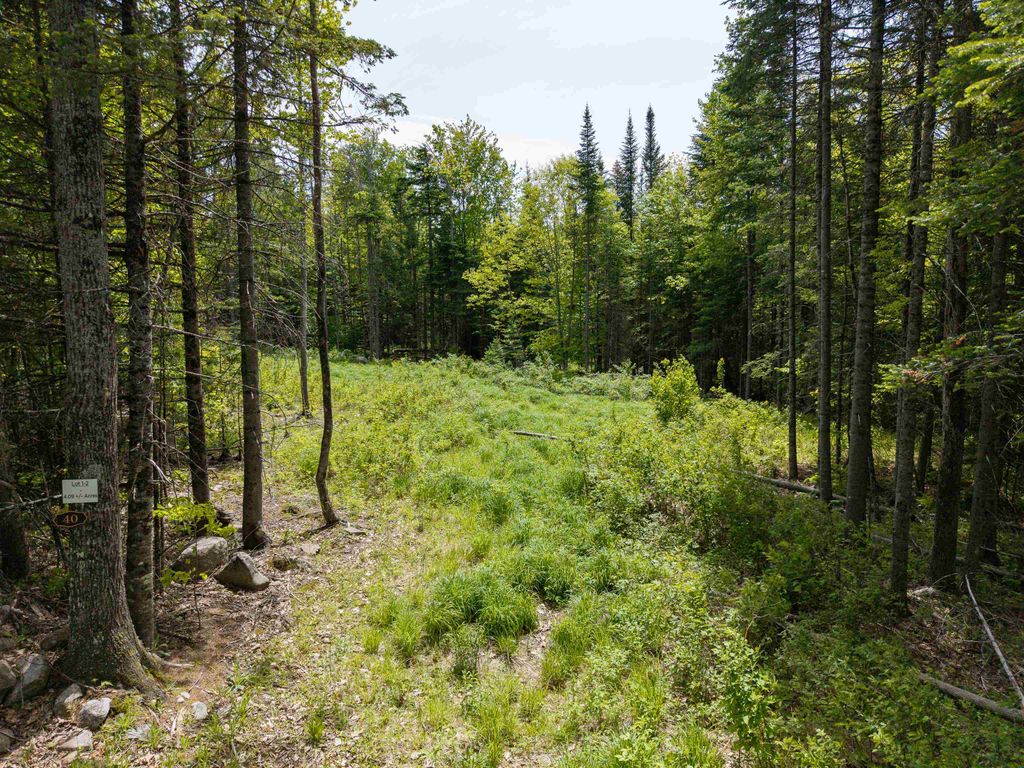Photo of 40 Bear Paw Trail, Littleton, NH 03561 (MLS # 5072369)