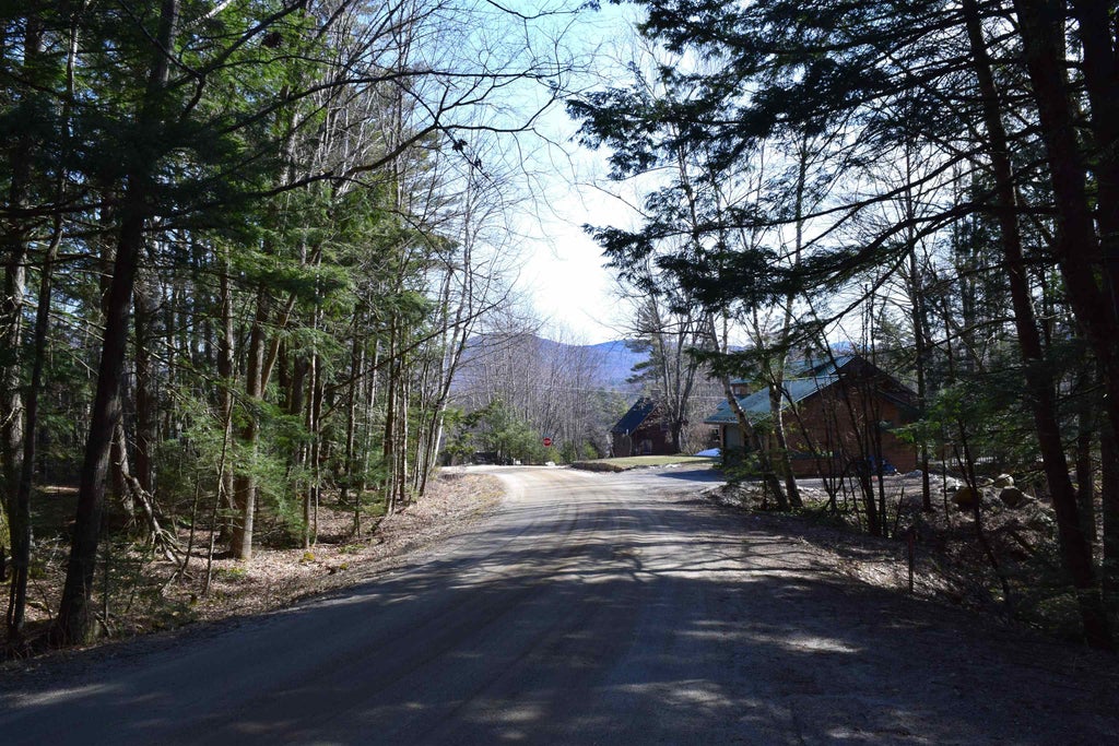 Photo of 14 Hanover Drive, Haverhill, NH 03765 (MLS # 5082231)