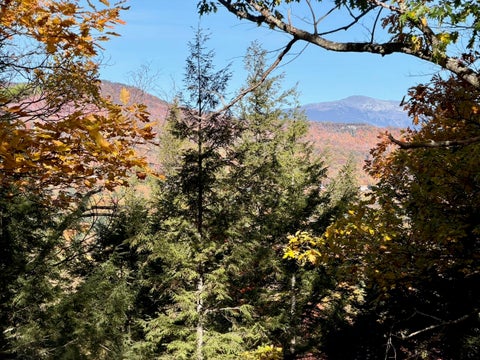 Photo of 515 West Side Road, Bartlett, NH 03812 (MLS # 5114683)