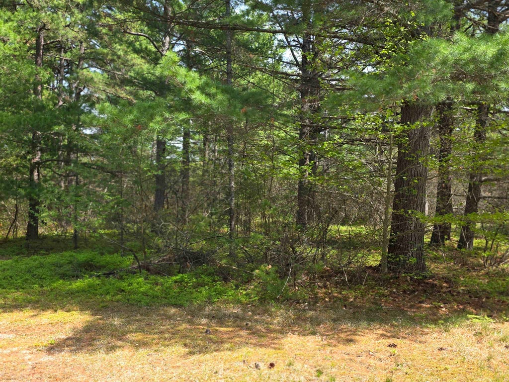 Photo of 23 Logan Way, Ossipee, NH 03864 (MLS # 5089740)