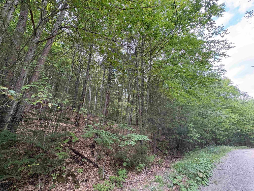 Photo of Craig Road, Antrim, NH 03440 (MLS # 5106746)
