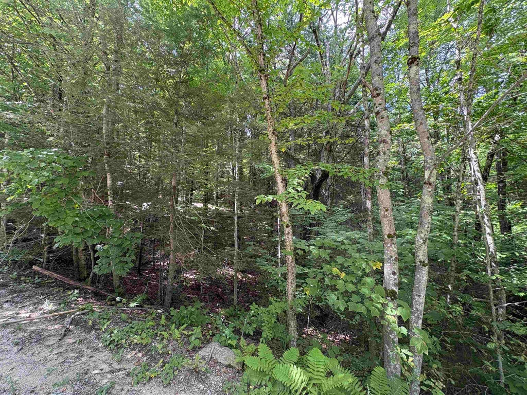 Photo of Craig Road, Antrim, NH 03440 (MLS # 5106746)